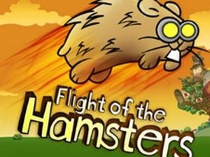 Flight of the Hamsters Arcade - Ludoryx free online game